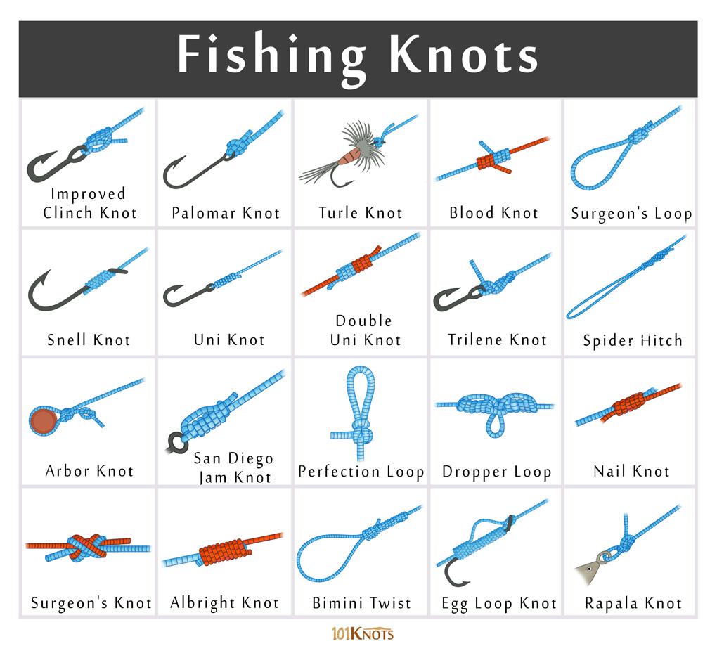 List of Different Types of Fishing Knots & How to Tie Them