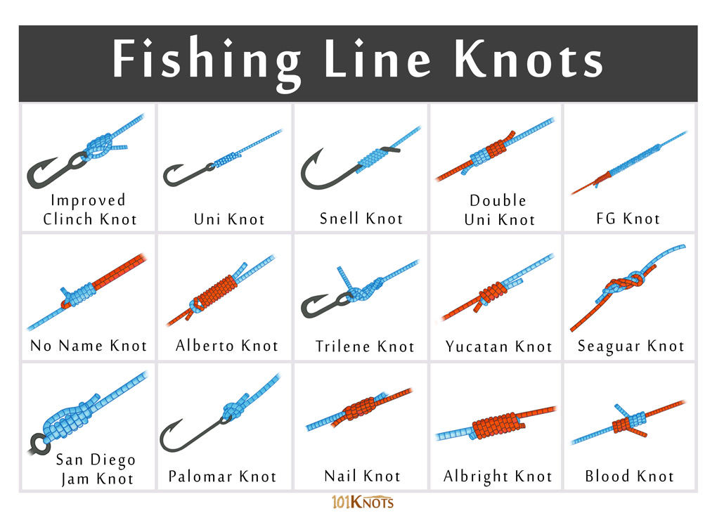 Different Types of Fishing Lines and Braided Cords in Fishing