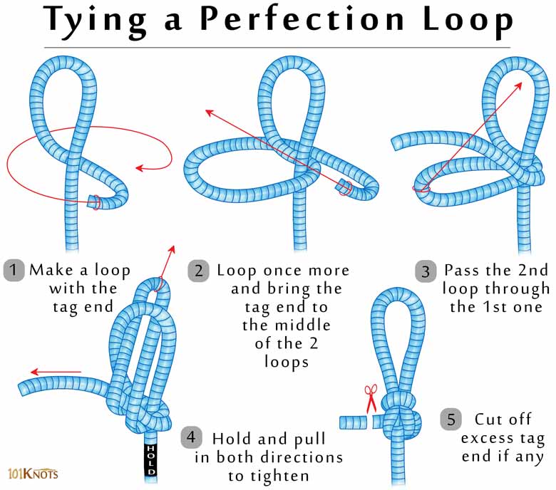 Perfection Loop Knot: Fly Fishing Knots Leader to fly line 
