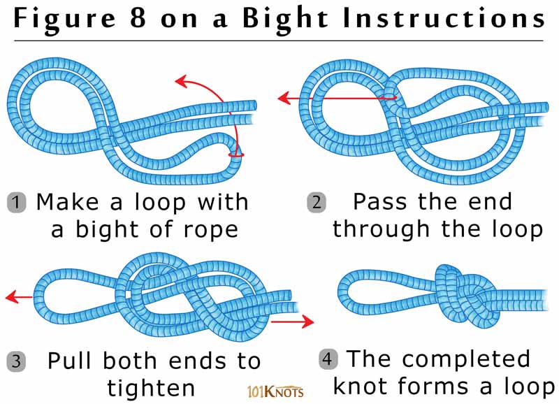 How to Tie a Figure 8 on a Bight Knot? Steps, Variations & Uses