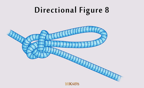 How to Tie a Directional (Inline) Figure 8? Tips, Steps & Uses