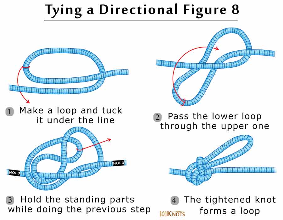 How to Tie a Directional (Inline) Figure 8? Tips, Steps & Uses