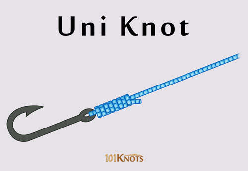 How to Tie an Arbor Knot  Fishing line knots, Knots, Camping knots