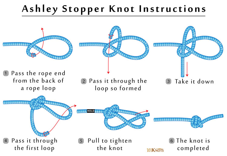 Stopper Knot (Ashley Stopper Knot) | 101Knots